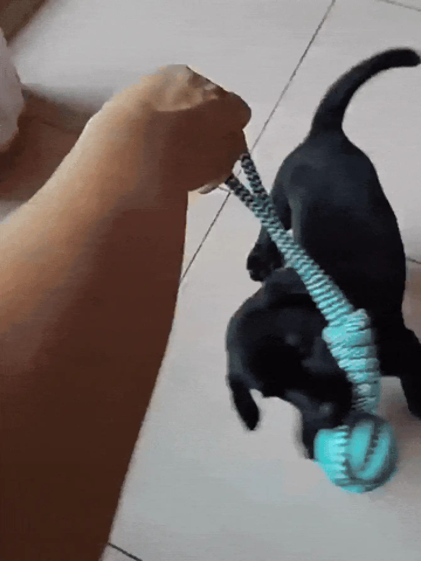 Interactive Slow Feeder Dog Toy, Puzzle Food Dispenser With Chewing Rope, Shake, Roll, Vibrate Game For Puppy Training, Intelligence Development, Suitable For Small, Medium, Large Dogs, Outdoor Activity And Dental Care - Multicolor - View 3