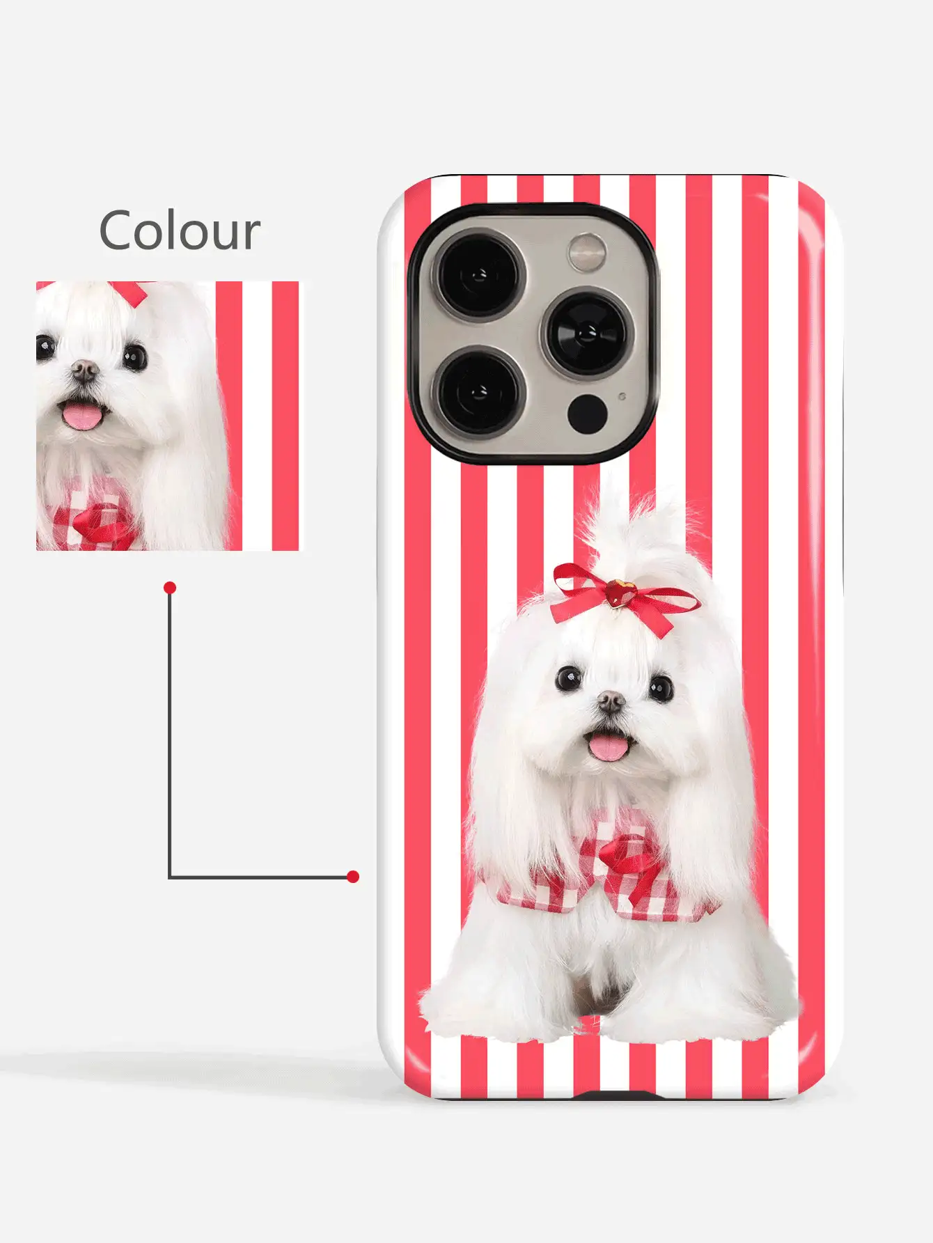 Customized Minimalist Striped Pet Name Image Slogan 2-In-1 Glossy Filmic Hard Phone Case Cover Protective Shell Compatible With IPhone 11/12/13/14/15/16 17 Pro Max - Multicolor - View 3