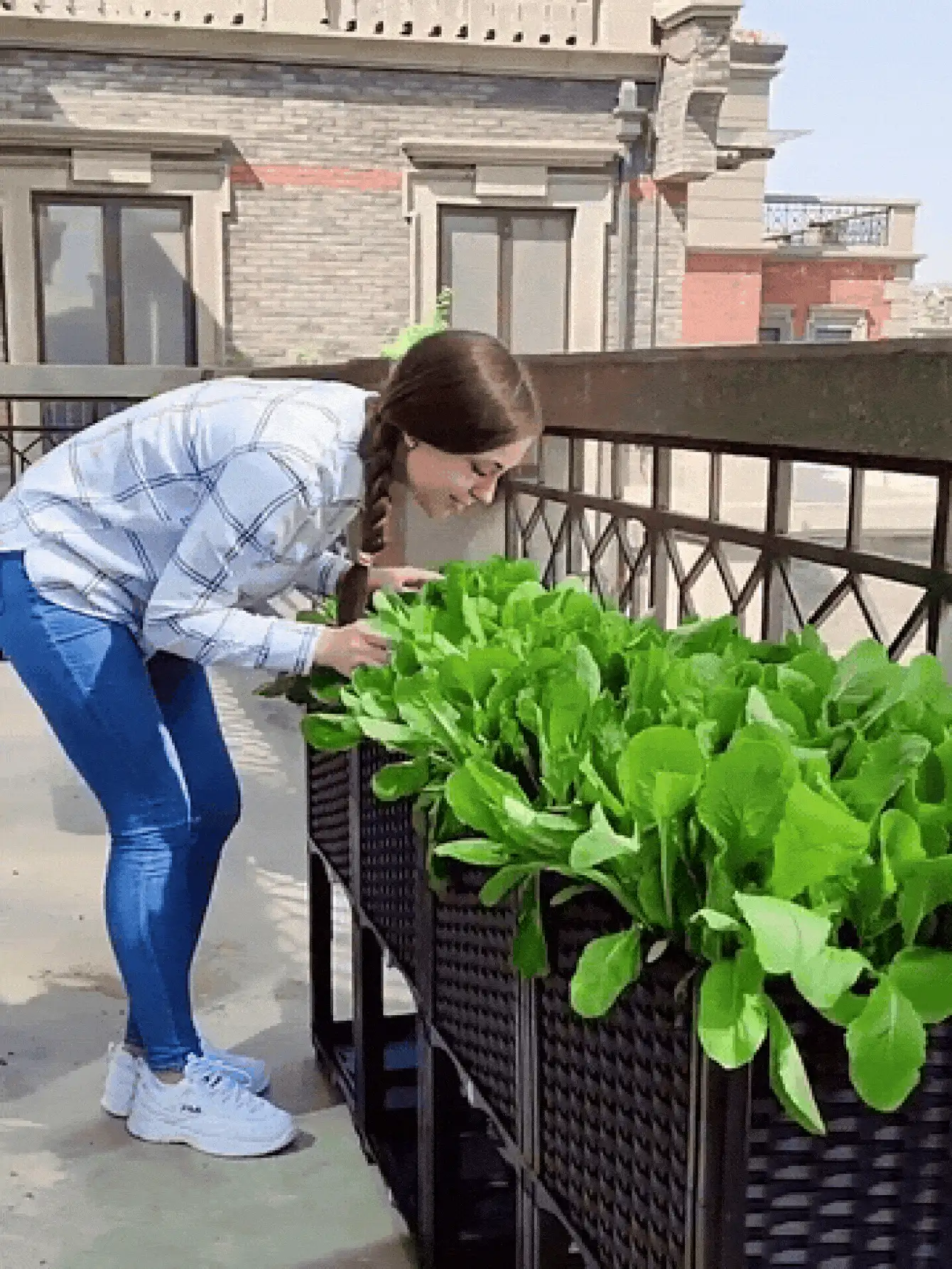 符合人体工学设计的园艺花盆，底部设有排水孔，防止背部疼痛，适合都市农夫使用；带支腿的装饰性花盆，适用于户外花卉和草莓；多功能长方形花盆，适用于庭院、露台和温室。 - 園藝種植箱 - 查看 3