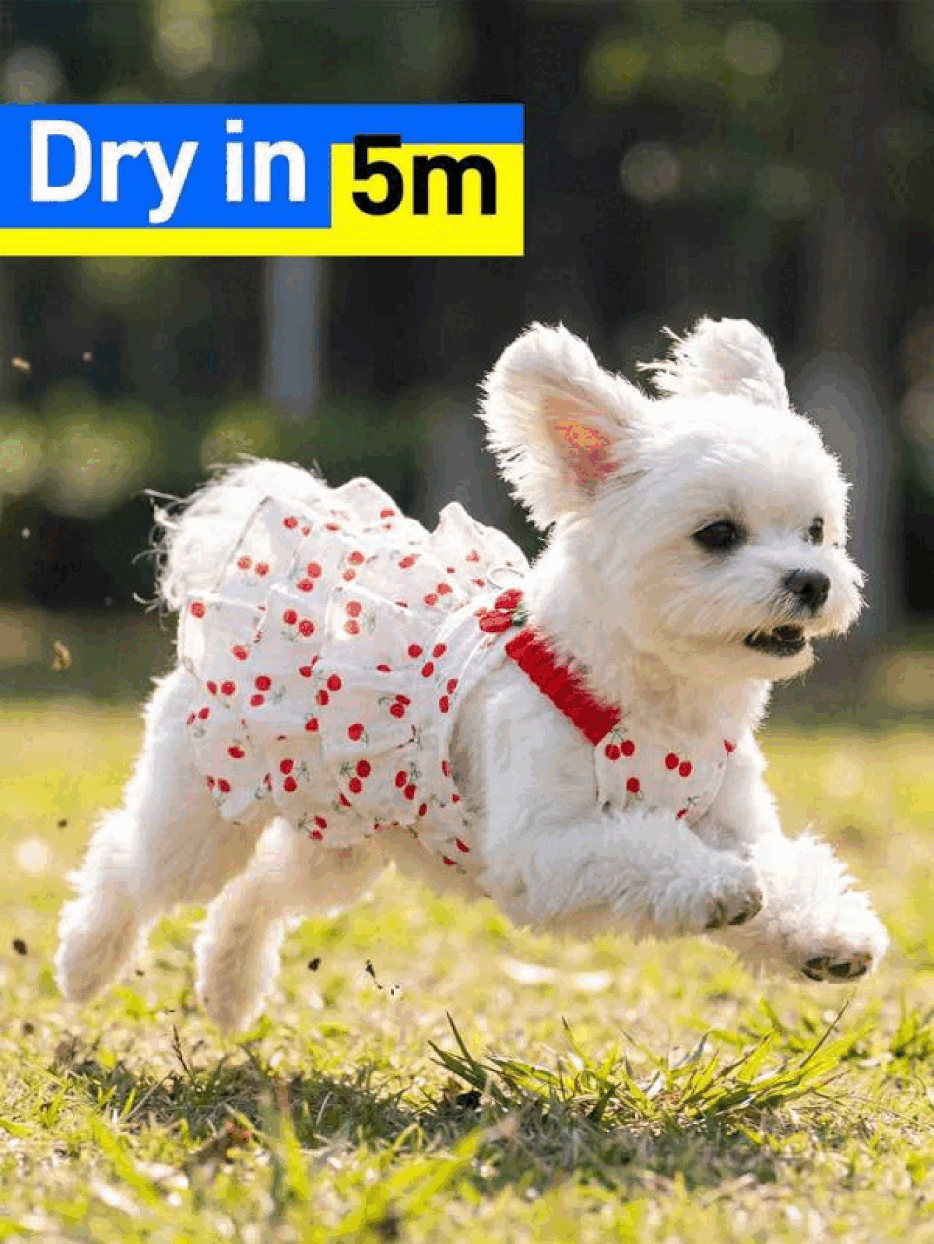 Váy thú cưng in họa tiết anh đào dễ thương quyến rũ với móc gắn dây xích chữ D bằng kim loại, thoáng khí, bèo nhún, trang phục anh đào cho chó nhỏ và mèo, yếm thú cưng phong cách, lý tưởng cho dã ngoại mùa hè, váy chó xếp tầng bánh kem, quần áo chó cái, phụ kiện thú cưng - Đỏ - Xem 3