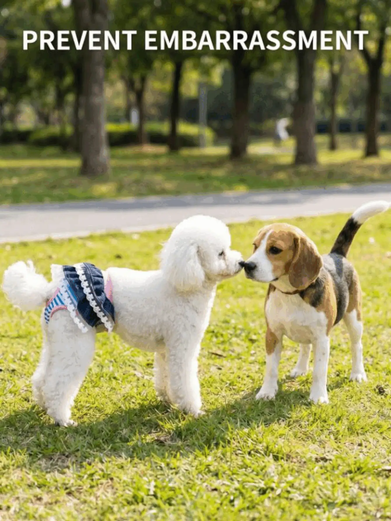 Pantalones fisiológicos reutilizables para mascotas con adorno de encaje y lazo, para prevenir el acoso, adecuados para mascotas medianas y pequeñas, protección contra fugas, suaves y transpirables, artículos esenciales para mascotas - Multicolor - Ver 3