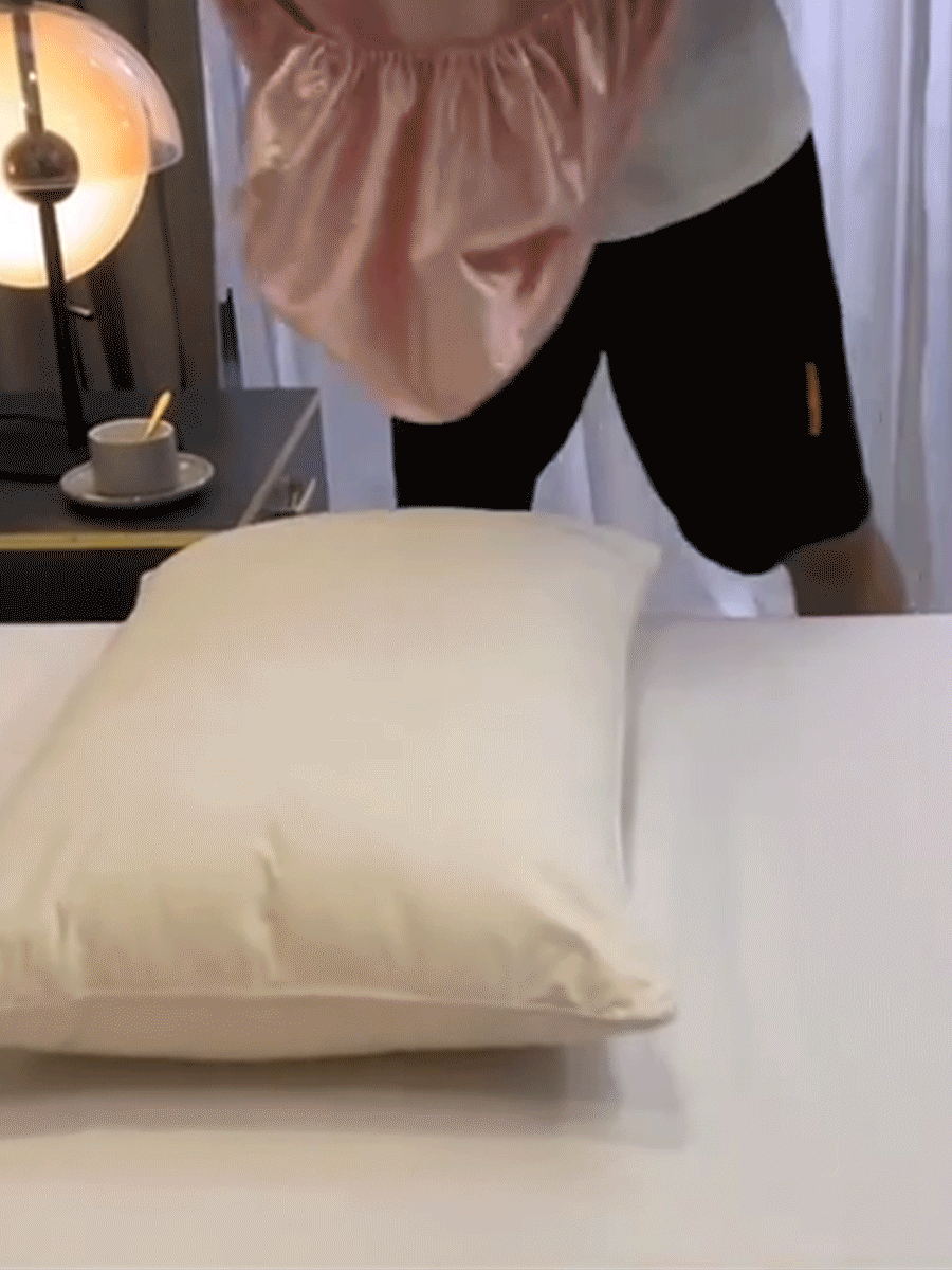 1個/2個裝緞面枕套，附彈性帶絲綢旅行枕套，柔軟絲緞枕套，保護髮質與肌膚，標準尺寸/大號，適用於各種枕頭，女性禮物、節日禮物、個性化禮物、畢業禮物、禮品 - 彩色 - 查看 11