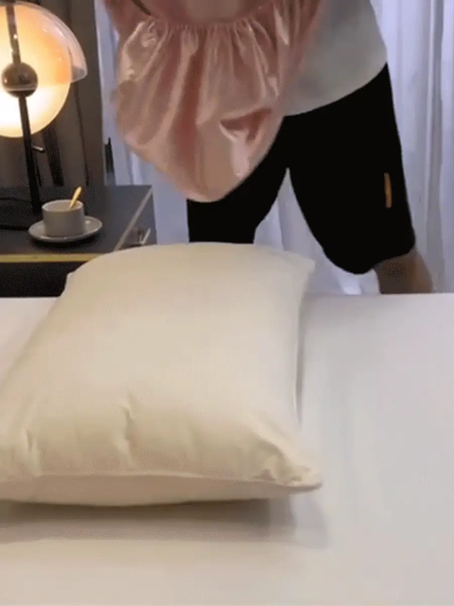 1個/2個裝緞面枕套，附彈性帶絲綢旅行枕套，柔軟絲緞枕套，保護髮質與肌膚，標準尺寸/大號，適用於各種枕頭，女性禮物、節日禮物、個性化禮物、畢業禮物、禮品 - 彩色 - 查看 12