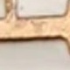Quả cam