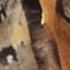 Rust Brown