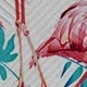 熱帶火烈鳥