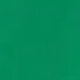 Verde (delantero)