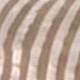 Màu Khaki