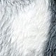 màu đen