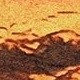 Màu be
