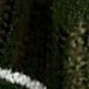 Verde Oscuro