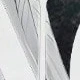 الأسود
