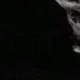 PRETO-EST 30