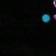BLACK-EST 01