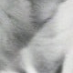 白色2