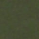 軍綠色