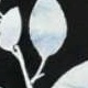 Floral 34-Preto