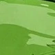 Lime Green