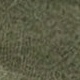 軍綠色