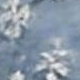 淺色水洗藍