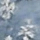 淺色水洗藍