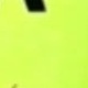 Fluorescent Green Women's