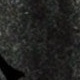 الأسود