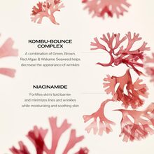 Shiseido 百丽舒抗皱面霜套装（多色）1.7盎司/50毫升 - 彩色 - 查看 3