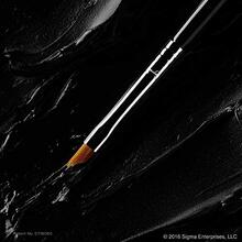 SIGMA Winged Liner™ Brush E06 Beauty Tool Eye Brush 1pcs Professional EyeBrush WingedLiner Precision Girlfriend Wife Mother Friend Birthday Graduation Party Travel Camping Outdoors School Campus Trip Festivals Anniversary Winter Christmas Special Occasions, Party Minimaliste V2