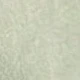 اخضر زيتون