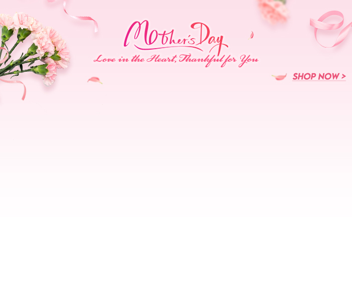 Recommended Products sc 1604618635