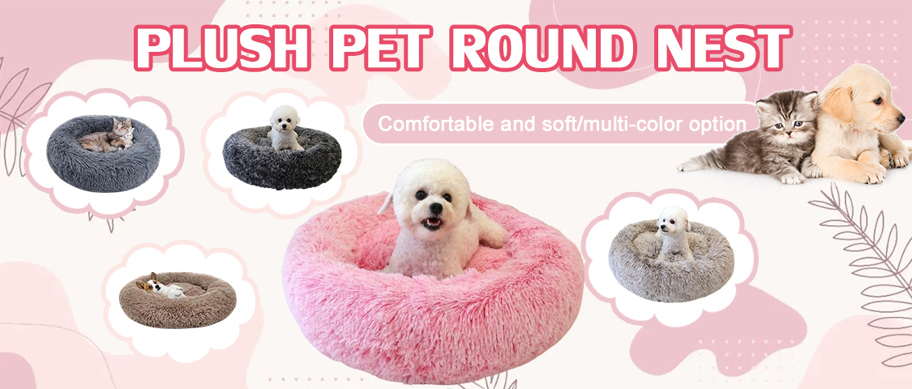 Recommended Products sc 1605022159