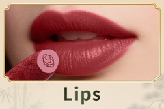 Recommended Products sc 1605141599