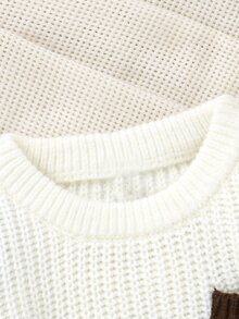 Baby Boy 1pc Multi-Color Casual Long Sleeve Pullover Sweater With Small Pocket, Basic Layering Top Autumn Fall - Coffee Brown - View 3