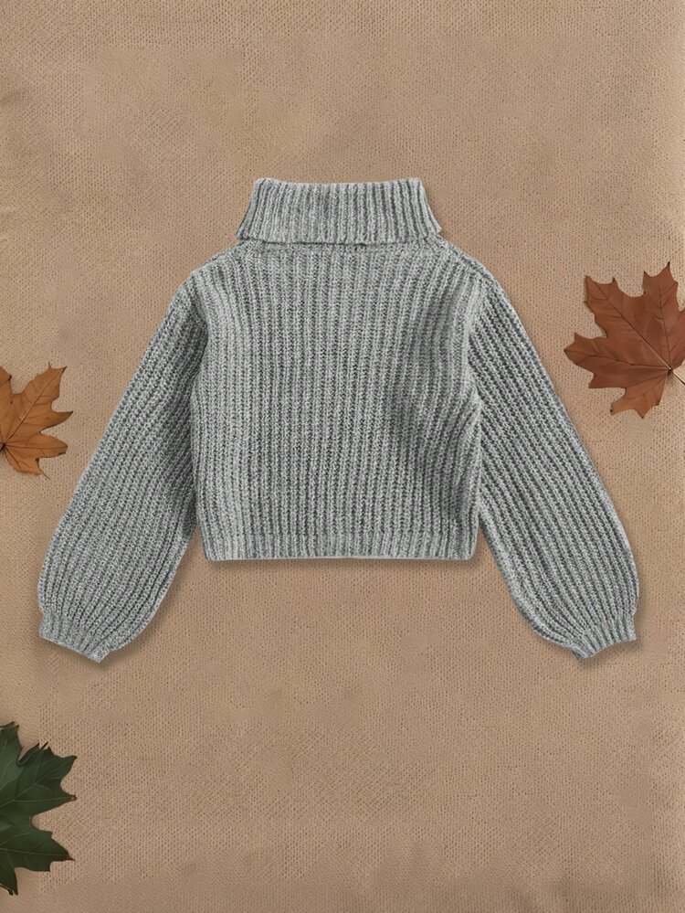 SHEIN Elladie kids Tween Girl Minimalist Turtleneck Long Sleeve Sweater, Casual For Daily Wear Autumn Fall - Grey - View 2
