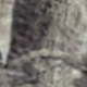 متعدد الألوان