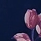 Biru