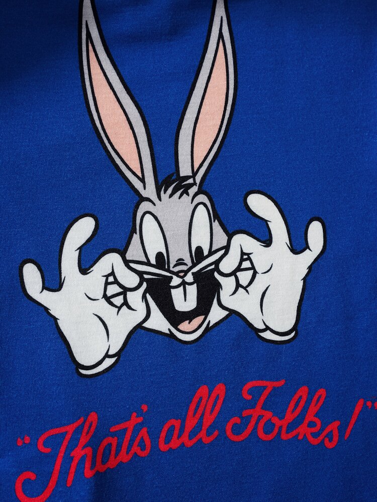 LOONEY TUNES X SHEIN Baby Boy Letter & Cartoon Print Short Sleeve T-Shirt And Striped Print Shorts Casual Outfit - Blue - View 5