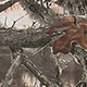 棕色