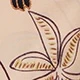 Marrón