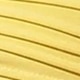 أوزة صفراء