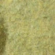 Hijau