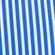 Blue and White