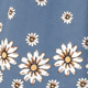 Dusty Blue