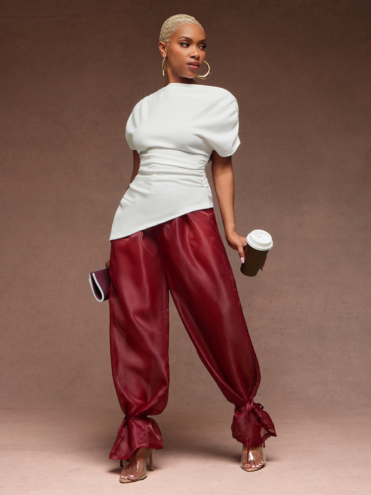 Vixey Sheer Organza High Waist Cuffed Balloon Pants, Statement Pants, Special Occasion, Date Night - Red Plum - View 3