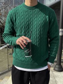 Manfinity Homme Men's Solid Color Plain Textured Cable Knit Casual Long Sleeve Sweater, Sweater For Office, Friends, Fall/Winter - Green - View 5
