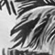 Black and White