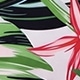 彩色