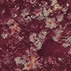 Rusty Rose