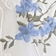 彩色